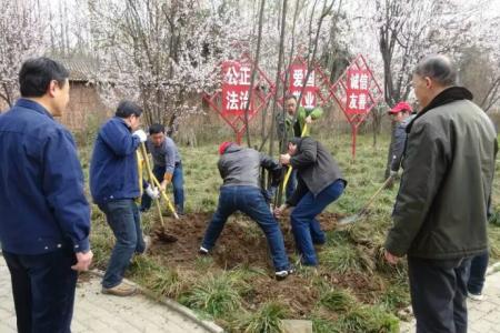 2016年终总结范文大全 2016年社区植树节活动总结范文大全