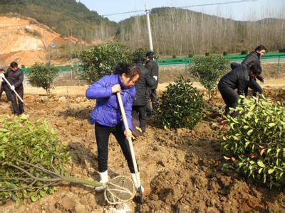 学校植树节活动总结 2016年学校第38个植树节活动总结