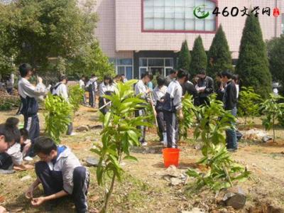 学校植树节活动总结 2015学校植树节活动总结