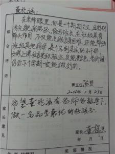 教师工作表现自我评价 教师工作表现评语