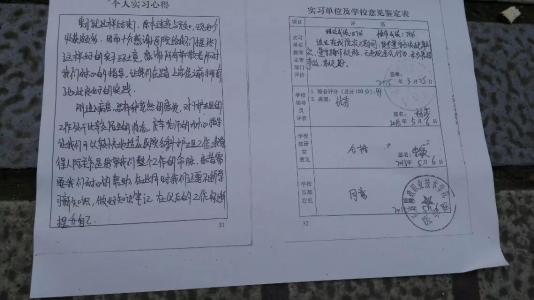 大学生实习评语