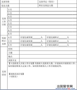 2015年党支部工作计划 2015年村党支部工作计划