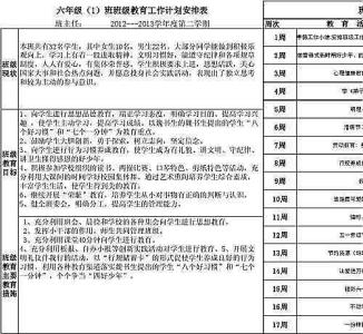 2017年实习班主任班级工作计划范文