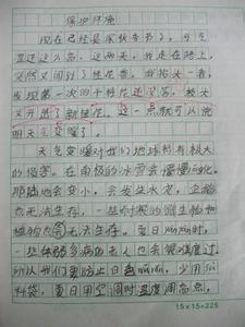 我的老师 作文 我的老师作文大全