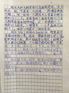 保护环境作文300字2篇 保护环境的作文大全(2)