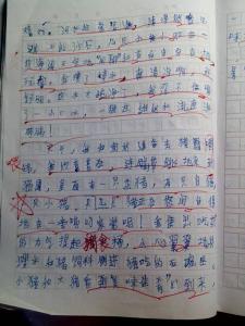 元旦趣事作文400字 描写元旦趣事的作文400字