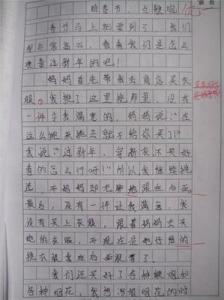 春节作文600字 关于春节的作文600字 四篇