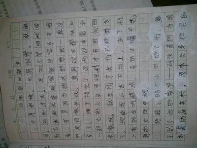 二十年后回故乡360字 作文二十年后回故乡300字