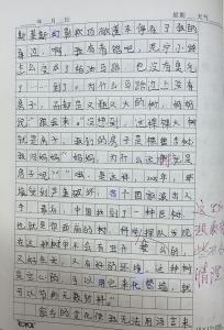 二十年后的故乡作文 五年级作文二十年后会故乡400字6篇