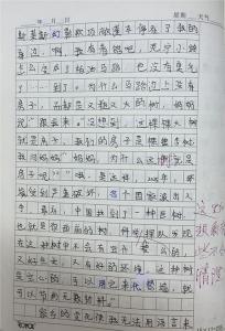 二十年后的故乡作文 二十年后会故乡500字作文