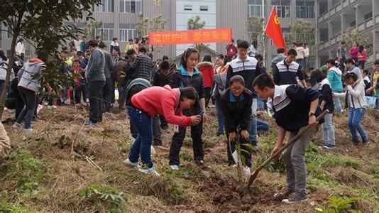 植树节中学作文：树的自传