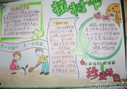 2015植树节小学生作文:一个有意义的植树节