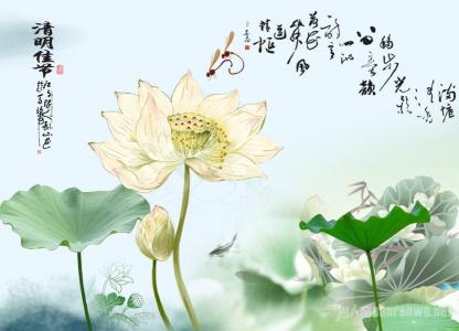 清明节煮鸡蛋 清明节煮鸡蛋【作文】两篇