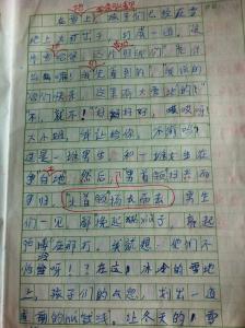 三年级写母亲节作文 小学三年级难忘的母亲节400字【作文】