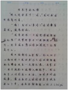 母亲节礼物作文 母亲节的礼物【作文】