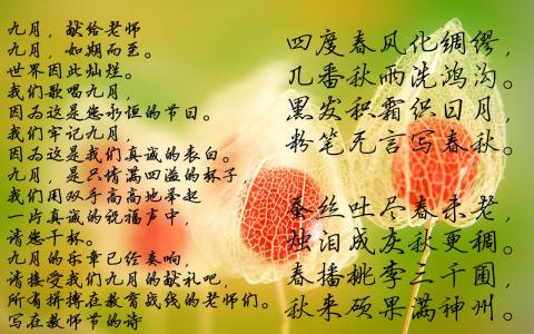 500字教师节作文：老师的微笑