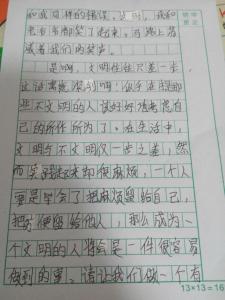 保护环境的作文600字 环境保护作文600字  三篇