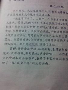 证婚词八篇 初一作文：关于风景的作文800字  八篇