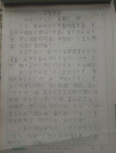 爸爸去哪儿观后感 《爸爸去哪儿》观后感900字作文