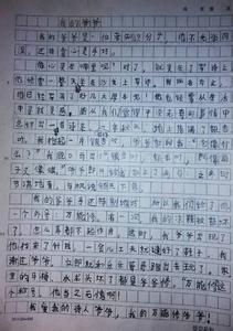 三年级作文：爷爷的手300字五篇