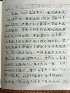 快乐的暑假作文400字 快乐的暑假作文400字 八篇