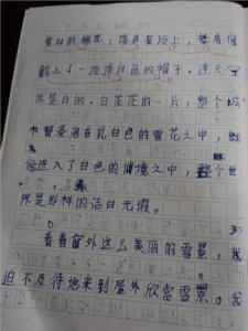 快乐的寒假作文500字 快乐的寒假生活作文大全150字~500字