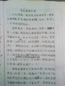 证婚词八篇 初一作文：时间都去哪儿了作文500字 八篇