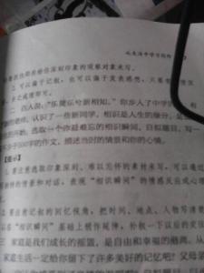 证婚词八篇 初二作文：生活的瞬间600字 八篇