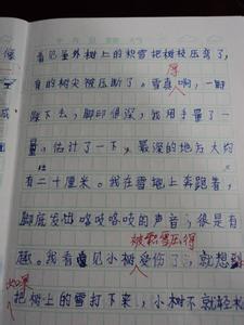 暑假记事作文600字 暑假生活记事【优秀作文】两篇