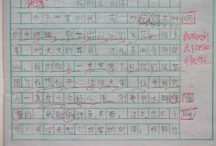 我的自画像三年级作文 我的自画像作文300字――三年级作文  八篇