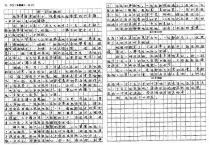 美的瞬间作文600字 美的瞬间作文大全