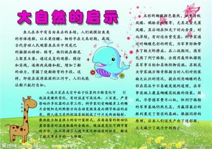 大自然的启示作文400字 大自然的启示作文