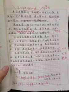 2014高一暑假作文：我从游戏中学到了语文