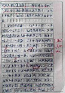 一次难忘的运动会作文 小学生难忘的运动会作文