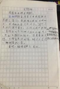 发财树作文300字 描写发财树的作文