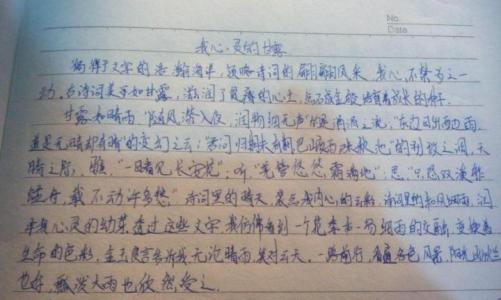 中考满分作文：我心灵的甘露_800字