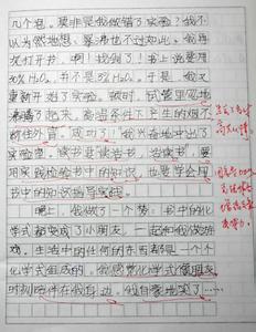 证婚词八篇 三年级作文：我读书的故事300字 八篇