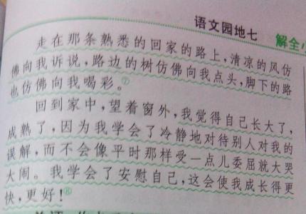 成长的故事作文800字 成长的故事作文500字