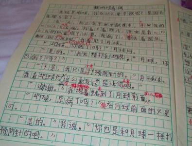 保护森林的作文300字 关于保护森林的作文