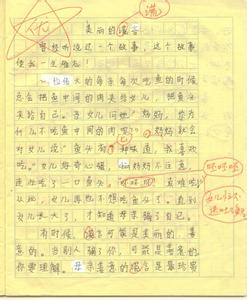 美丽的谎言作文 美丽的谎言【作文】四篇