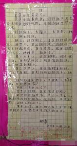 美丽的青岛作文400字 美丽的青岛作文300字