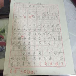 保护小鸟的作文300字 保护小鸟的作文（三篇）