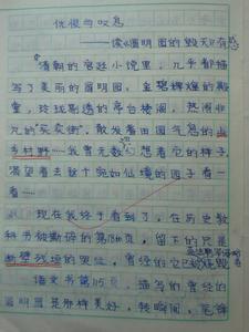 圆明园的毁灭观后感 看圆明园的毁灭观后感作文800字