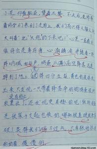 简爱 读后感七篇 六年级作文：鸡蛋撞地球作文600字  七篇