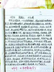 向经典致敬作文 小学生向经典致敬作文