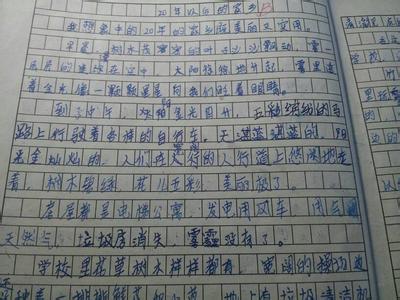 几年后家乡的环境作文 几年后家乡的环境作文  三篇