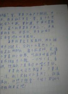 描写手机的作文500字 描写手机的作文