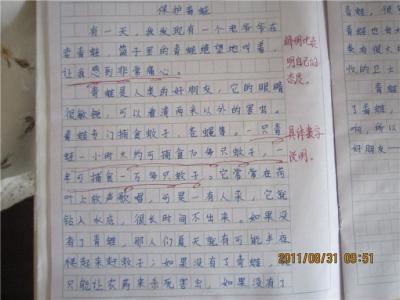 关于脚印的作文800字 关于脚印作文800字