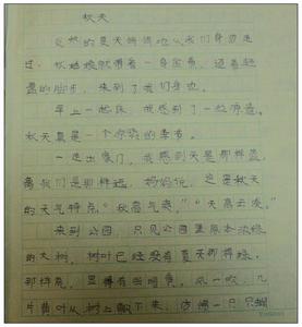 秋天的500字优秀作文 【优秀作文】 秋天的脚步