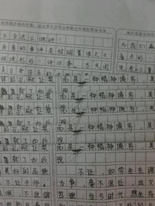 初三语文优秀作文 【优秀作文】 我的新语文老师